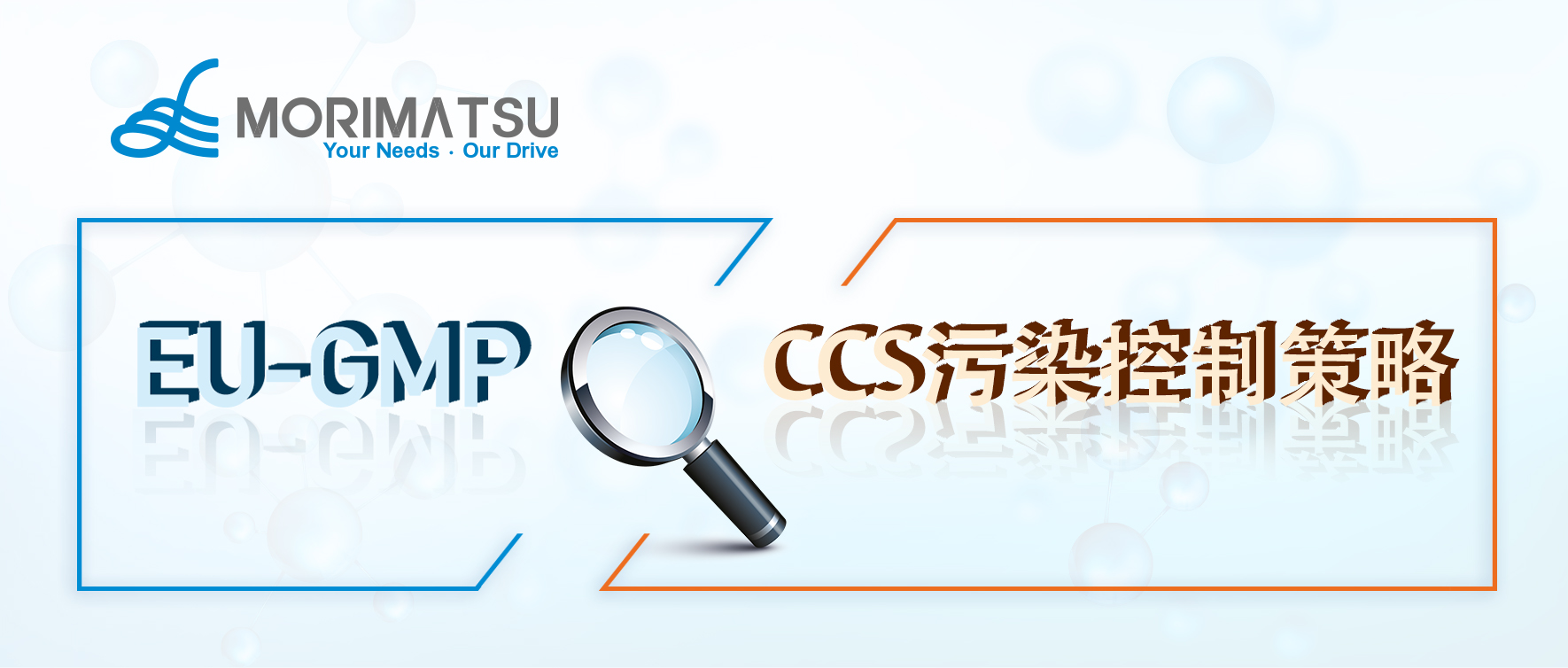 Regulatory Insight | A Brief Analysis of CCS Contamination Control Strategies in EU GMP Annex 1 for Sterile Products